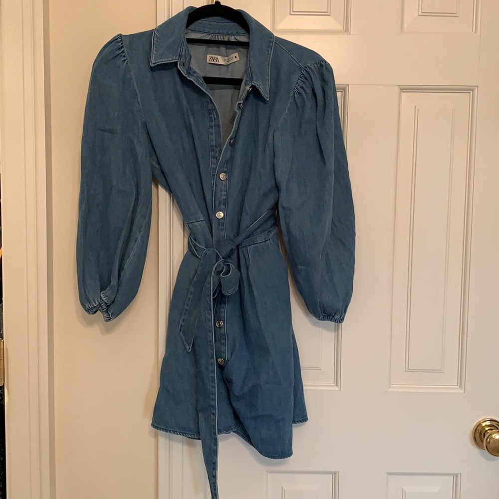 Zara Dress